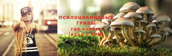 apvp Алексин