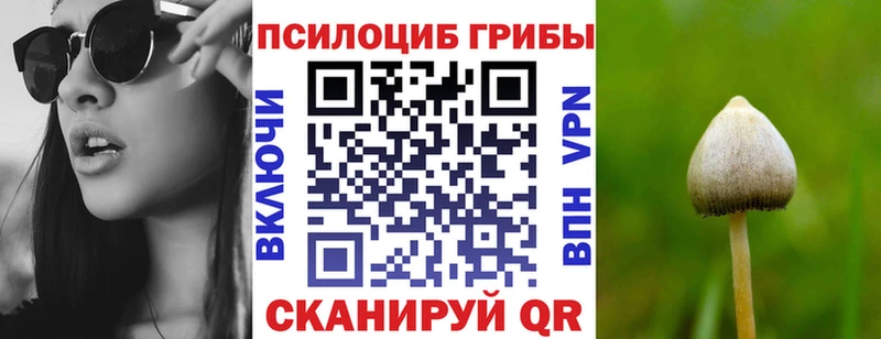 Галлюциногенные грибы Psilocybe  Астрахань 