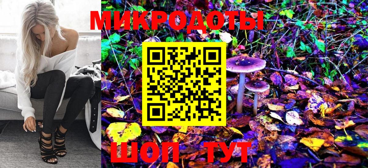 купить наркотики сайты  Вход с VPN  Астрахань  Галлюциногенные грибы GOLDEN TEACHER 