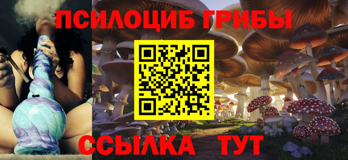 Псилоцибиновые грибы Cubensis Астрахань